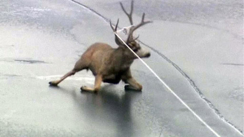 Turbulence - 13. ledna 2013