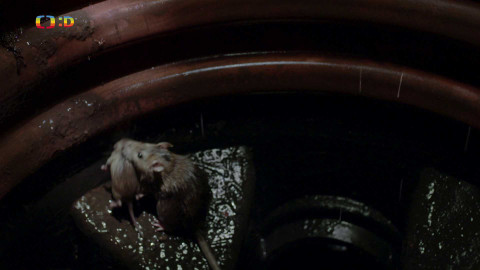 V divočině, tam to žije - Epizoda 38/40