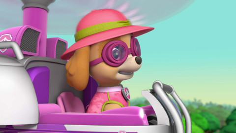 Tlapková patrola - Tlapková mise: Královsky vyděšení / Tlapky zachraňují opostarostu