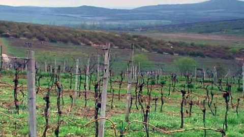 Babylon - 20. července 2012