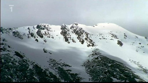 Kaleidoskop - 7. března 2010