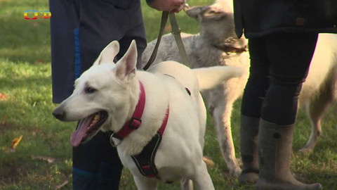 Zprávičky - 22. listopadu 2023