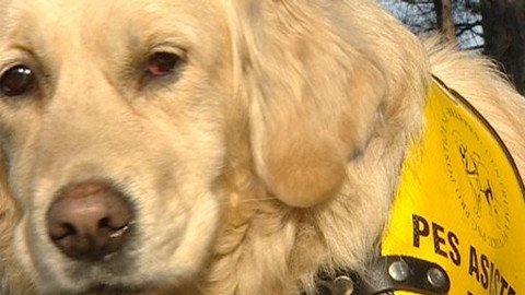 Chcete mě? - 6. února 2009