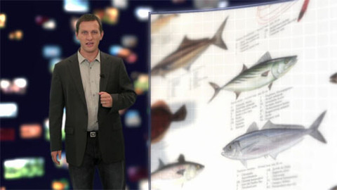 Tajemství zdravého života - 71/100 Není ryba jako ryba