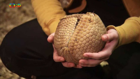 Terčin zvířecí svět - 2. března 2018