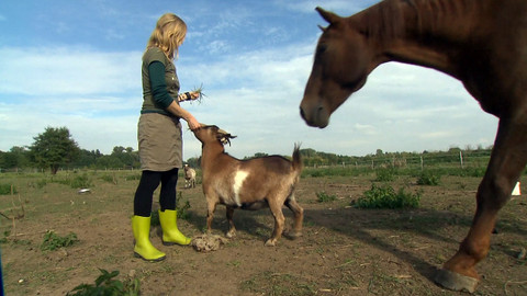 Nedej se! - 40 let ČSOP