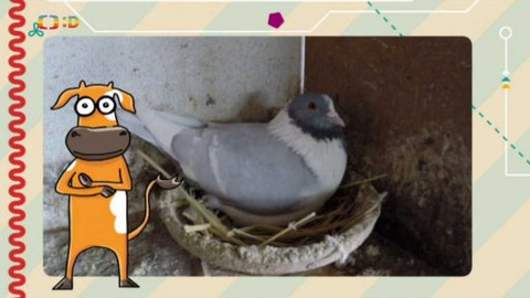 Telefon - 5. dubna 2015