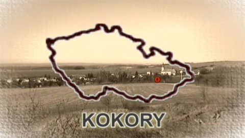 Divnopis aneb Proč se to tak jmenuje? - Kokory