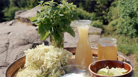 Kouzelné bylinky - Všechny podoby bezu