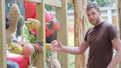 Toulavá kamera - 26. října 2014