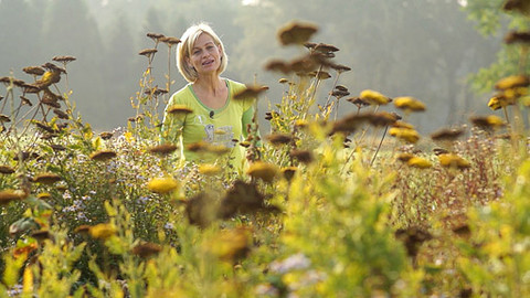 Kouzelné bylinky - Hubněte s námi