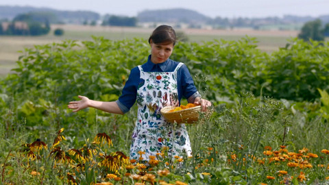 Herbář - 29. listopadu 2020