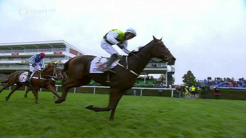 Velká pardubická - Před Velkou pardubickou