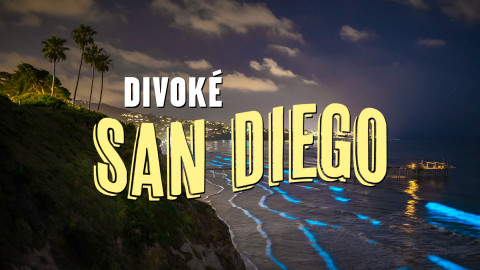 Divoké San Diego