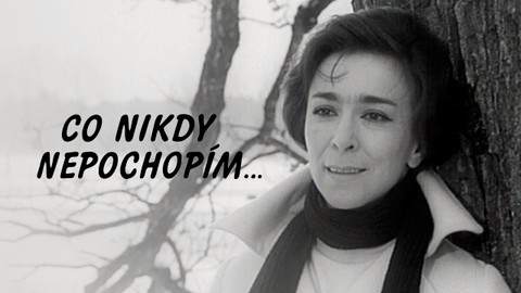 Co nikdy nepochopím