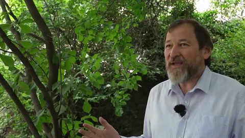 Cesty víry - Církev na poli a v lese