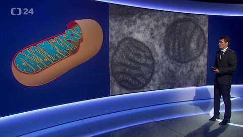 Věda 24 - 16. června 2019