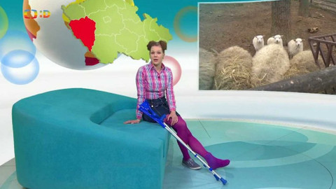 Zprávičky - 6. února 2020