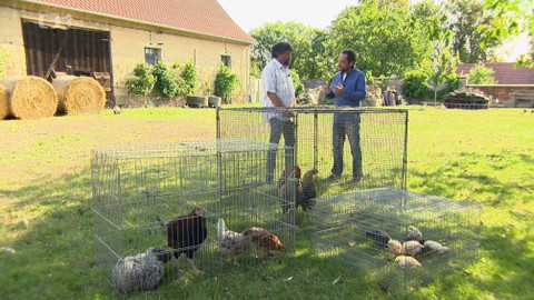 Polopatě - 1. září 2019