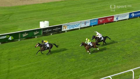 Dostihy - Letní cena města Pardubic