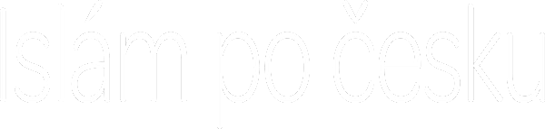 Islám po česku