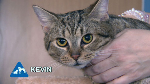 Chcete mě? - 6. února 2011