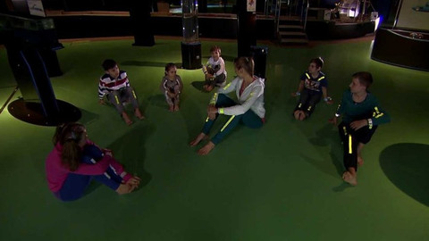 Jogínci na cestách - Slunce a světlo