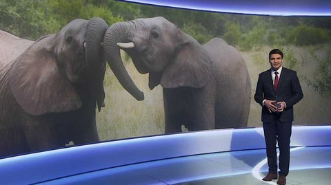 Věda 24 - 31. ledna 2021