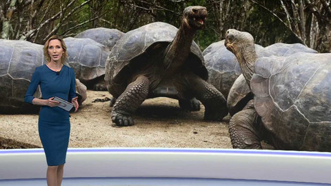 Horizont ČT24 - 4. dubna