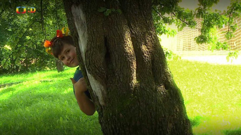 Šikulové - 3. září 2020