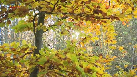 Zprávičky - 21. října 2022