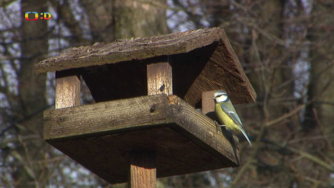 Zprávičky - 4. ledna