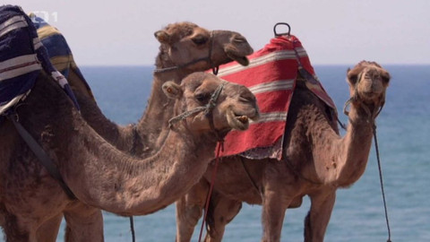 Objektiv - 13. ledna 2019