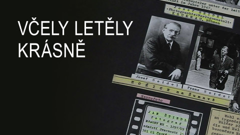 Včely letěly krásně