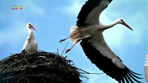 Zprávičky - 20. března