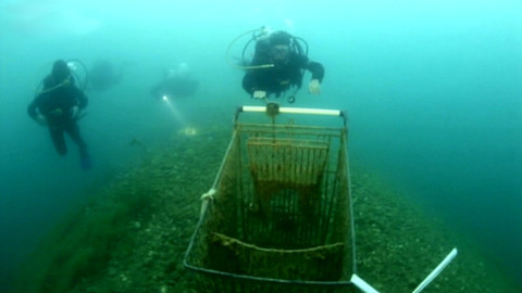 Žiješ jenom 2x - Pošťák v neoprenu