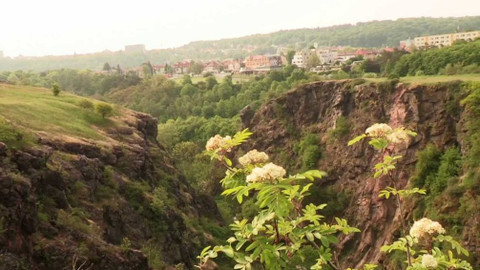 Nedej se! - Městská džungle