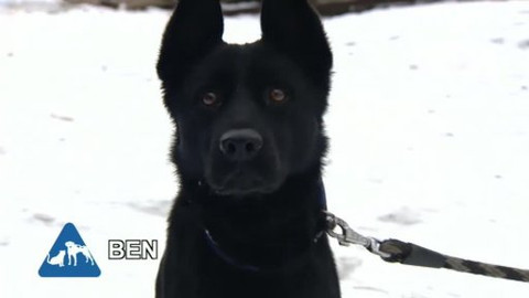 Chcete mě? - Chcete je?