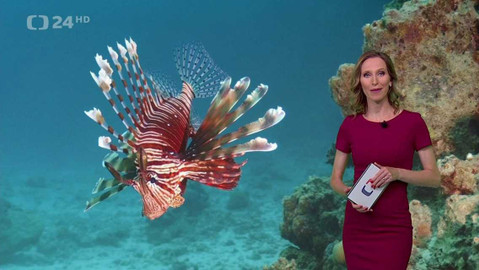 Horizont ČT24 - 26. května 2023