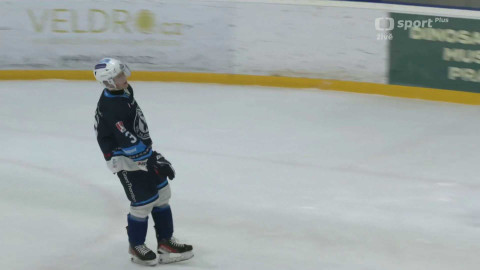 Univerzitní liga ledního hokeje - VŠE Falcons Prague - ČVUT Engineers Prague