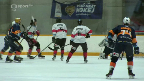 Univerzitní liga ledního hokeje - UK Kings Prague - Engineers Prague