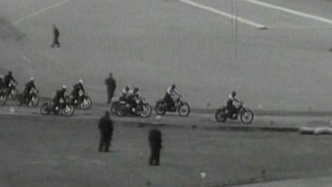 Archiv ČT24 - Trojkové květny