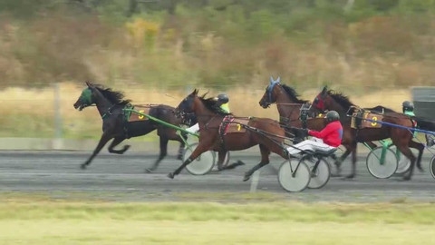 Dostihy - České klusácké derby