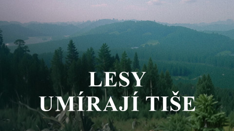 Lesy umírají tiše
