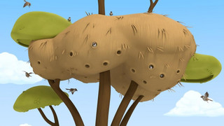 Leo, strážce přírody II