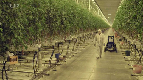 Evropa dnes - Boj o budoucí potravinový systém