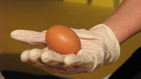 Šikulové - 10. ledna 2008