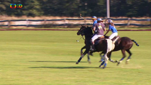 Terčin zvířecí svět - 15. listopadu 2019