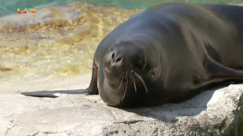 Zprávičky - 29. července 2018