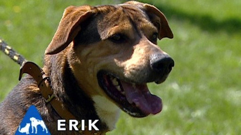 Chcete mě? - Chcete je?